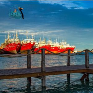a group of boats are docked at a dock at Lauquen in Puerto Deseado