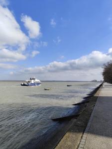 Photo de la galerie de l'établissement Les cigognes gites de la reserve, à Grand-Laviers