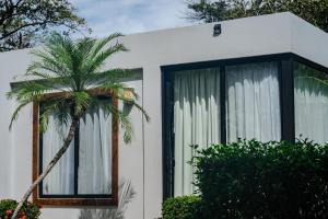 A garden outside The Bohemian Lagarto