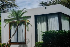 A garden outside The Bohemian Lagarto