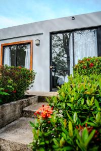 A garden outside The Bohemian Lagarto