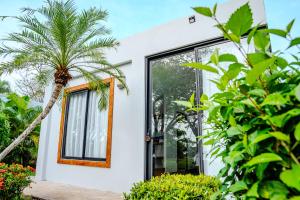 A garden outside The Bohemian Lagarto
