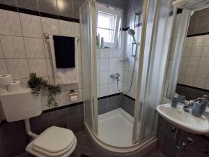 een badkamer met een douche, een toilet en een wastafel bij Blue Ivy App Salatić Besplatno korištenje električnih bicikala in Vrh +29 foto's