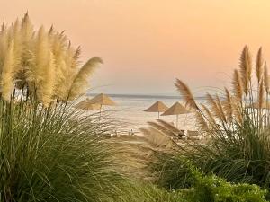 VokolidhaにあるTranquil Suites By the Seaの海のパラソル付きビーチ