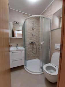 ein Badezimmer mit Dusche, Toilette und Waschbecken in der Unterkunft House Dalmatika Zaton in Zaton