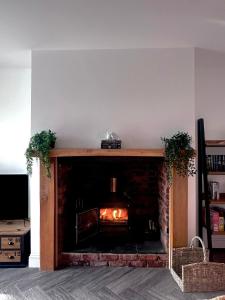 Φωτογραφία από το άλμπουμ του The Follonsby Foal Hot Tub Retreat σε West Boldon +37 φωτογραφίες