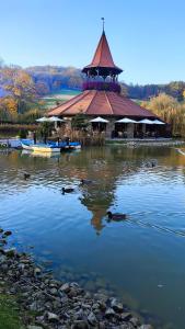 Naturlandskabet i nærheden af lejligheden + 12 billeder