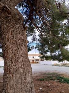 Billede fra billedgalleriet på Cortijos Rurales Castril, El Casto i Castril