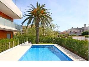 a palm tree sitting next to a swimming pool at Puerto Pollensa peaceful apartment, mountain views in Port de Pollensa