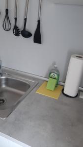 Kuchyň nebo kuchyňský kout v ubytování apartma Vila TARA