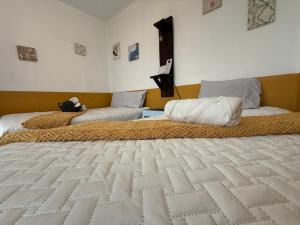 - une chambre avec 2 lits et des couvertures dans l'établissement Casa del viajero Antigua, à Antigua Guatemala