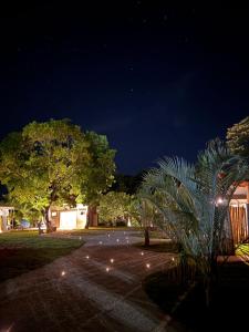 a palm tree in a park at night at Villa Dois Amores in Lindóia