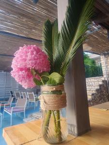 Fotografie z fotogalerie ubytování Amelie's Apartments & Beach Saranda v destinaci Sarandë