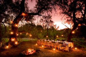 a table set up for a wedding under a tree at Samara Karoo Reserve in Graaff-Reinet