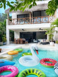 Luxury House Tomanoa - 10pers - 4rooms - Pool - HotJacuzzi - Speed Wifi -waterfall في تولوم: بجعة في مسبح الفيلا