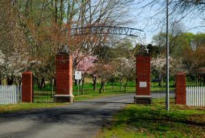 Vrt pred nastanitvijo Magpie Cottage Homestay Bed & Breakfast