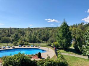 a swimming pool in a yard with chairs and trees at L'intime loft Studio à Orford in Magog-Orford