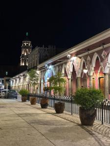 - un bâtiment avec des nids d'arbres en face de lui la nuit dans l'établissement Loft privado cerca del Jardín Principal de Sayula, à Sayula