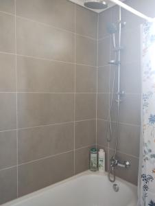 uma casa de banho com um chuveiro e uma banheira em Precioso y confortable Departamento em Santiago