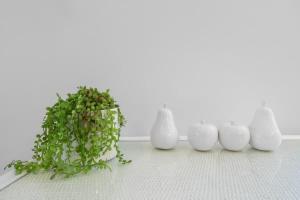 un groupe de vases blancs à côté d'une plante verte dans l'établissement Waves Retreat - Coastal Style Home near Warana Beach, à Parrearra