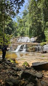 Paesaggio naturale nelle vicinanze dell'affittacamere