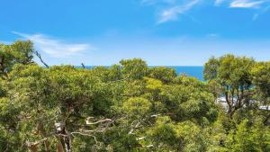 a group of trees with the ocean in the background at 'Killy Beach House' by HolidayCo in Killcare +15 photos