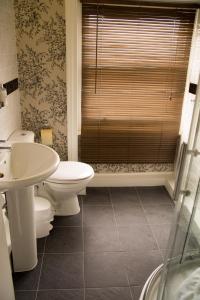 a bathroom with a toilet and a sink at Aylestone Court in Hereford