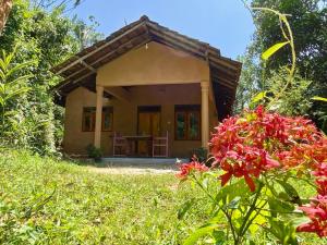 Zahrada ubytování Hello Homestay