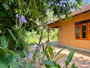 Zahrada ubytování Hello Homestay