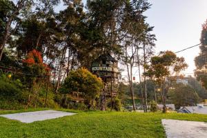 Zahrada ubytování Mountain View Guesthouse Cameron Highlands