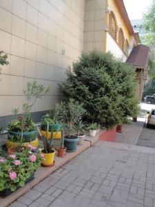 Gallery image of Berkana Hotel in Almaty