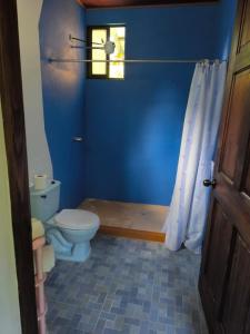a bathroom with a toilet and a blue wall at Casa Marina in Pedregal