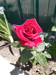 Ảnh trong thư viện ảnh của Guest house Lola ở Kochkorka