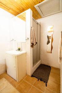 un baño con lavabo y ducha en Hoeksfontein game lodge, en Pearston
