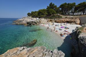 Grupa ludzi na plaży w wodzie w obiekcie Apartments Karmen Pula w Puli