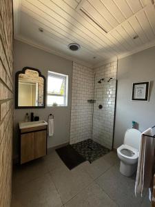 a bathroom with a shower and a toilet and a sink at Prospect Cottage in Walmer +10 photos