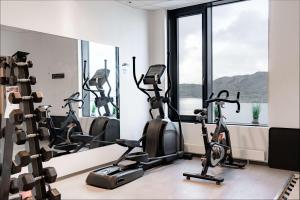 Fitness centrum a/nebo fitness zařízení v ubytování Scandic Havet