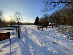 Vakantiewoning Heidebos in het Nationaal Park Hoge Kempen v zimě