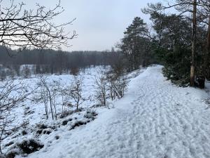 Vakantiewoning Heidebos in het Nationaal Park Hoge Kempen v zimě