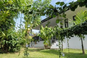 拜县Baan Savannah的前面有一棵树的房子