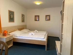 Postel nebo postele na pokoji v ubytování HOTEL RAJSKY