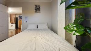 - un grand lit dans une chambre avec une plante dans l'établissement 애플, Hongdae Yeontral park, à Séoul