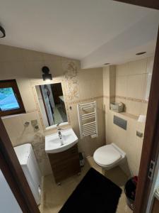 a bathroom with a sink and a toilet and a mirror at Noclegi u Kostka Sarbinowo in Sarbinowo