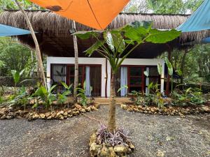 a palm tree in front of a house at NUTMEG Cottage Siargao- Private room in General Luna