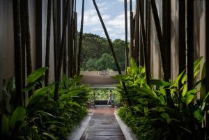 a corridor of plants in a building with a window at Avista Hideaway Phuket Patong - MGallery in Patong Beach