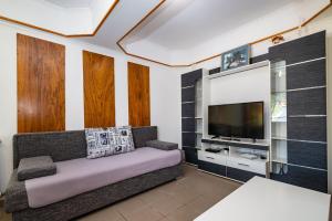 a living room with a couch and a flat screen tv at Bady Apartments with BBQ in Novalja