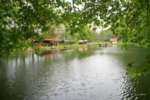 Príroda v okolí hotela