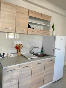 a kitchen with a sink and a white refrigerator at Golden sand apartment A in Hersonissos