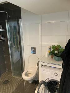 a small bathroom with a toilet and a shower at seafront villa in Dragland