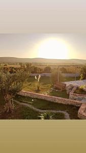 a view of a garden with a bench and trees at Family Home Iskra in Bulić
